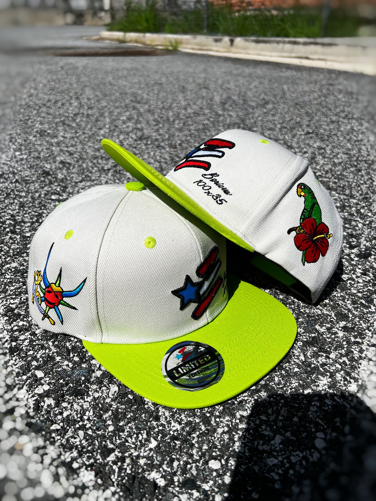 PUERTO RICO Limited Edition Hat 🇵🇷