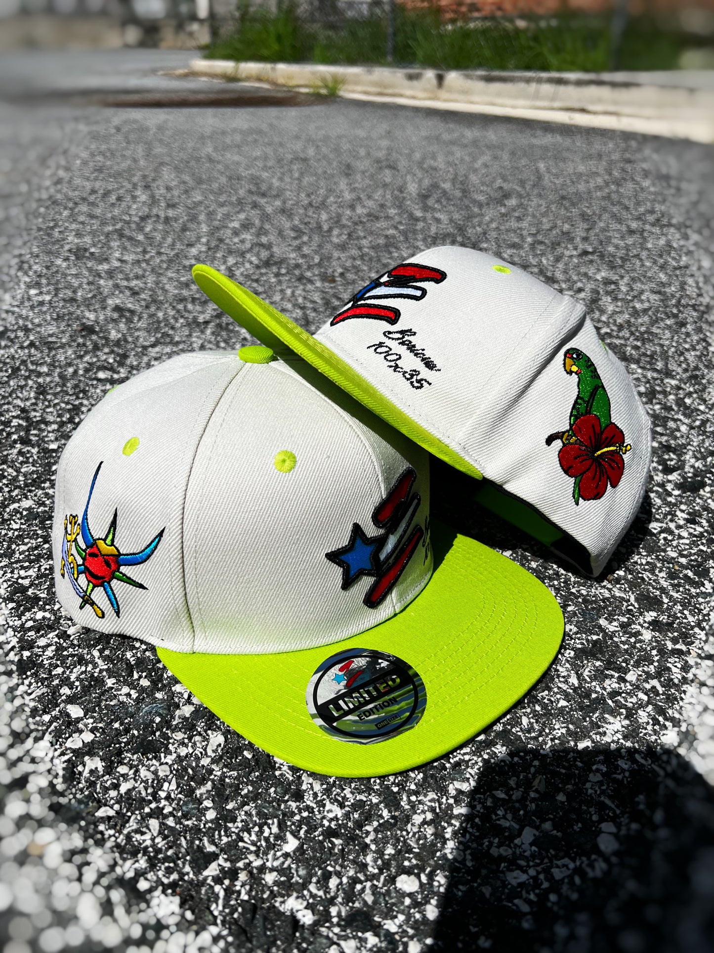 PUERTO RICO Limited Edition Hat 🇵🇷